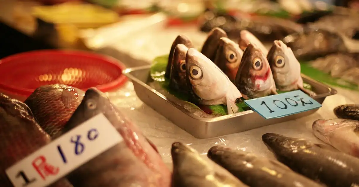 Ijmuiden eten