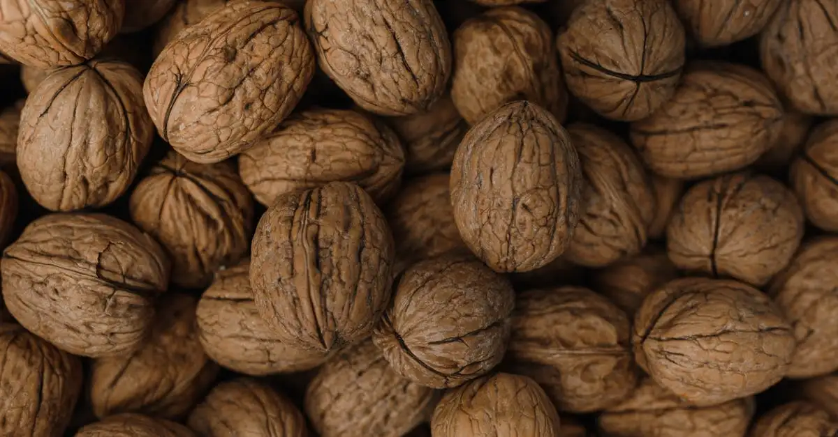 Eiwitrijk eten: De beste bronnen voor uw dagelijkse voeding