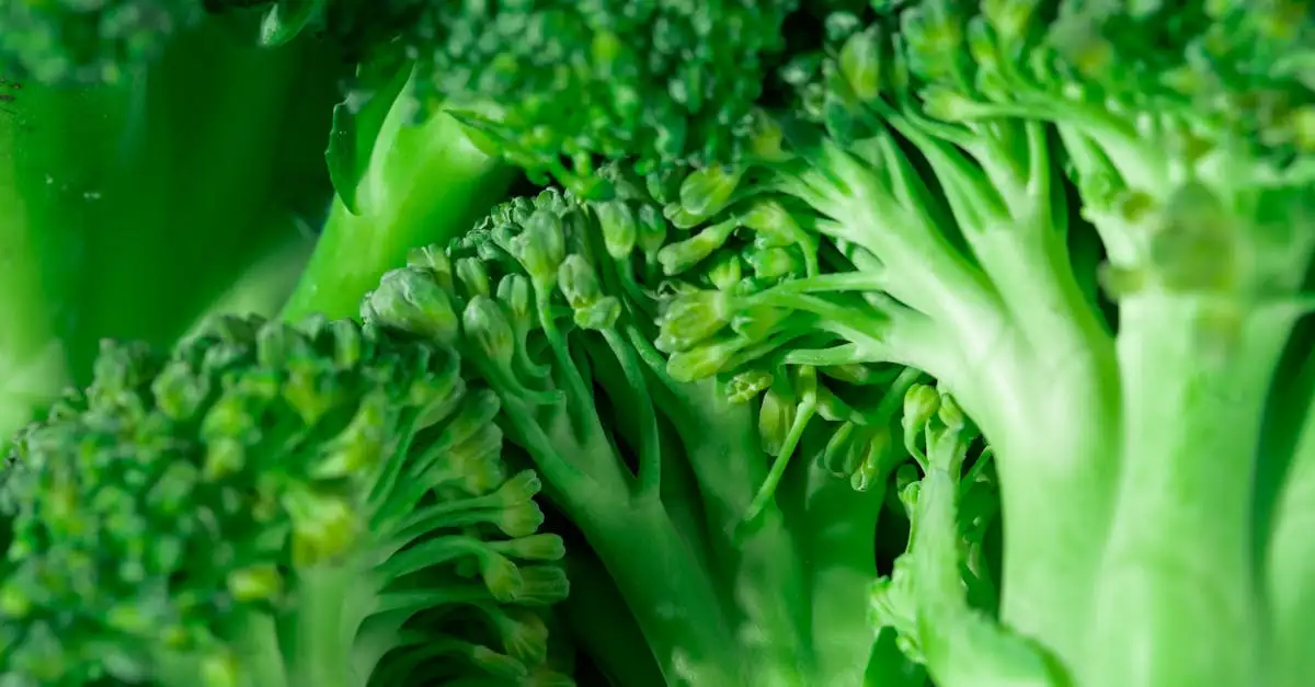 Eten met minder koolhydraten